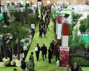 Flower Show 2016 фото
