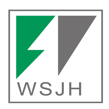China logo
